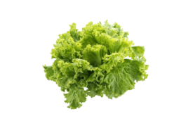 Adorno lechuga 